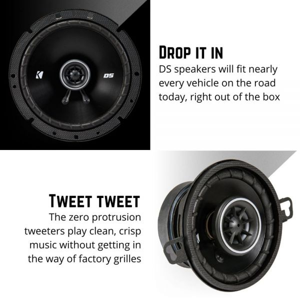 ds audio speakers